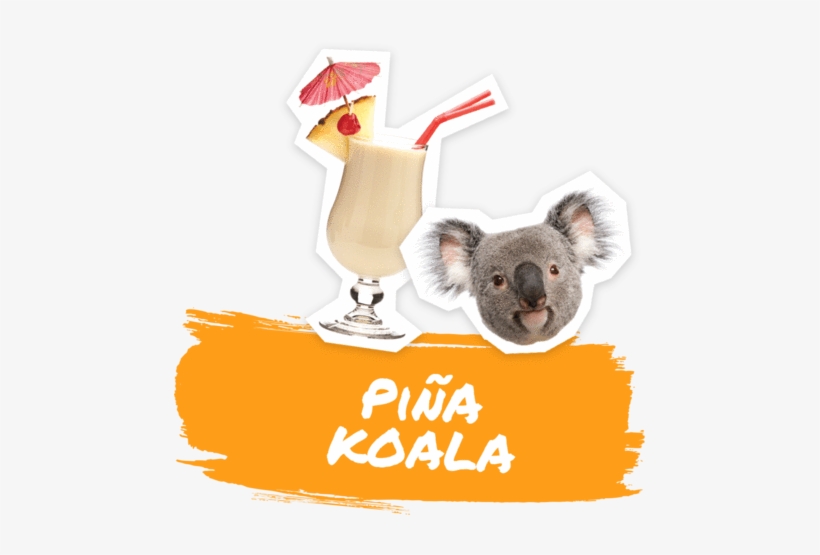 Pina Koala - Wild Dining Kyle Koala Side Plate White, transparent png