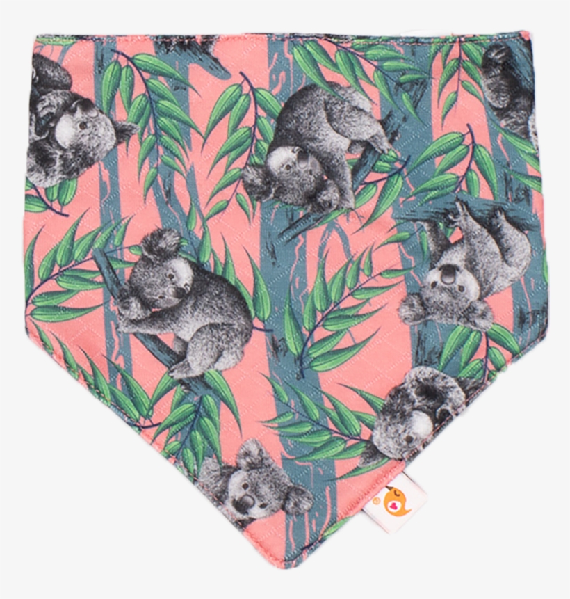 Koala Adventure Koala Adventure - Koala, transparent png