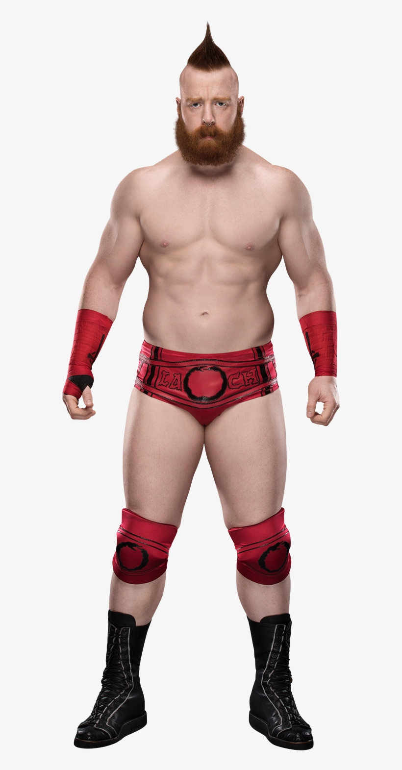 Sheamus - Sheamus Ic Champion Png, transparent png