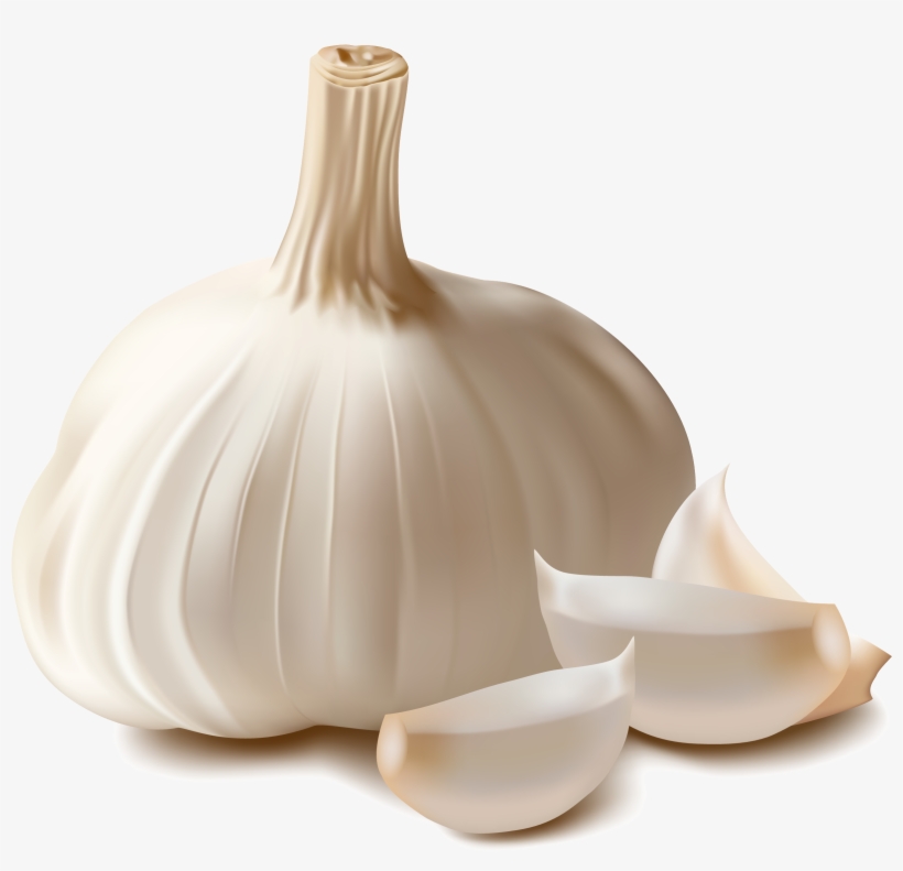Garlic Png, transparent png