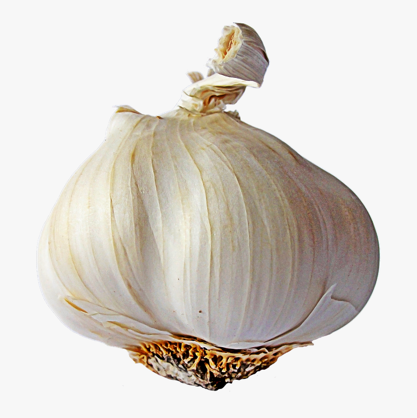 Garlic Single - Garlic Png, transparent png