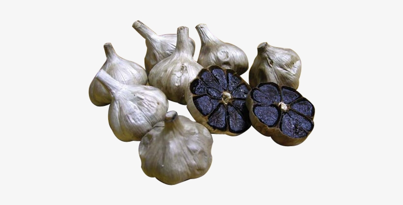 Image Is Not Available - Elephant Garlic, transparent png