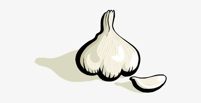 Garlic Plant Vegetable Food Veggie Plantae - Clipart Garlic, transparent png