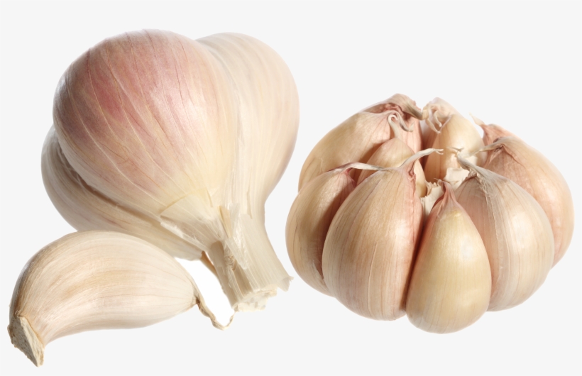 Garlic Png, transparent png