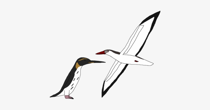 Ocean Birds Png Picture - Portable Network Graphics, transparent png