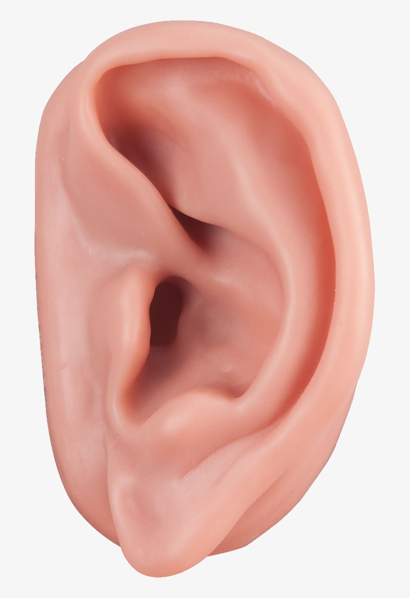 Image Purepng Free Transparent Clip Art Black And White - Ear Png, transparent png