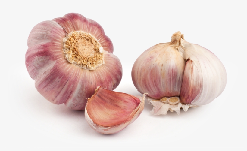Purple Garlic - Purple Garlic Png, transparent png