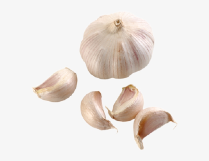 Garlic Free Png Image Download - Garlic, transparent png