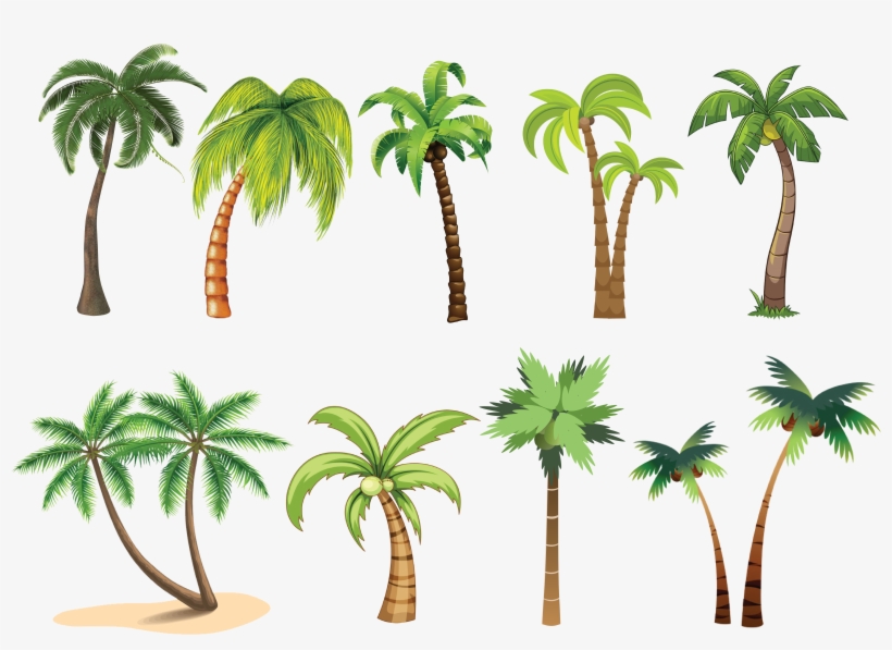 Trees - Palm Tree Clip Art, transparent png
