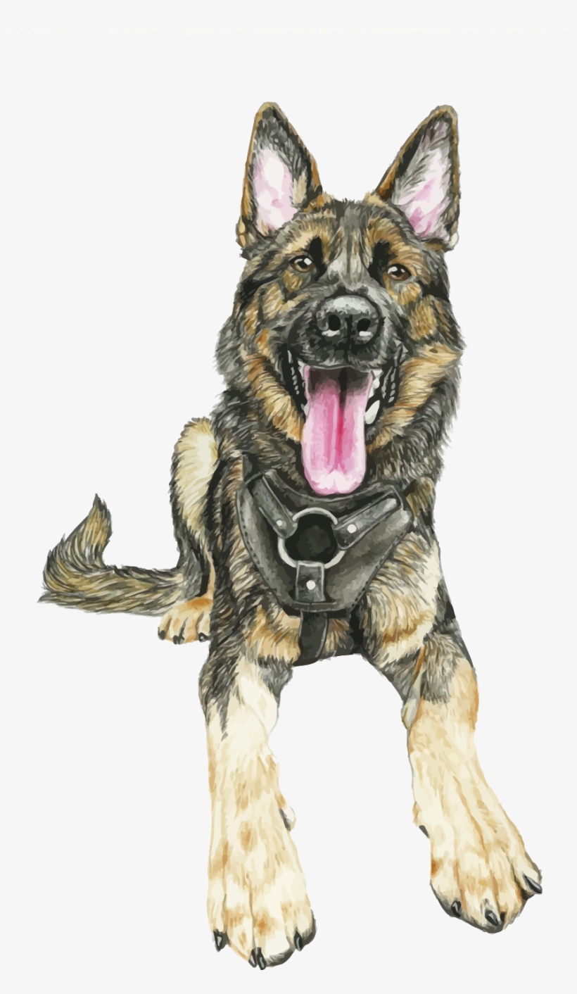 German Shepherd Vector - German Shepherd, transparent png