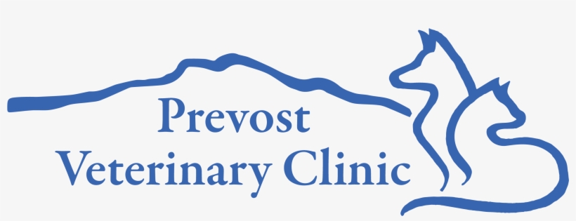 Veterinary Technician - Bosworth Independent College, transparent png