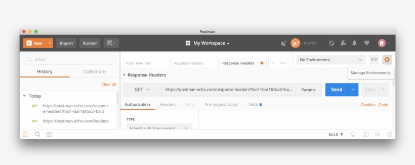Manage Environments Icon - Postman Environment Variables, transparent png