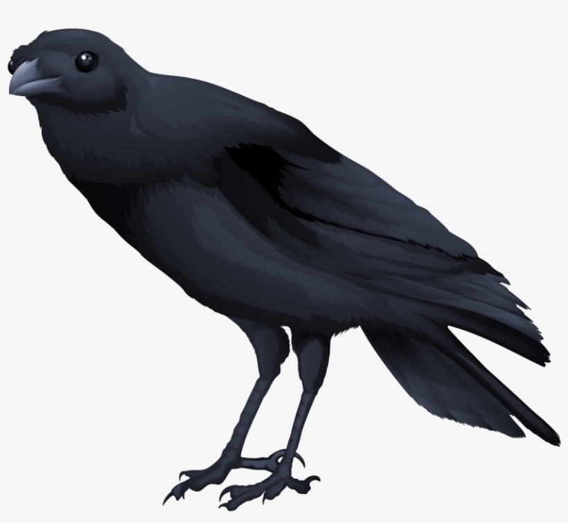 Free Png Download Birds Png Images Background Png Images - Transparent Background Raven Gif, transparent png