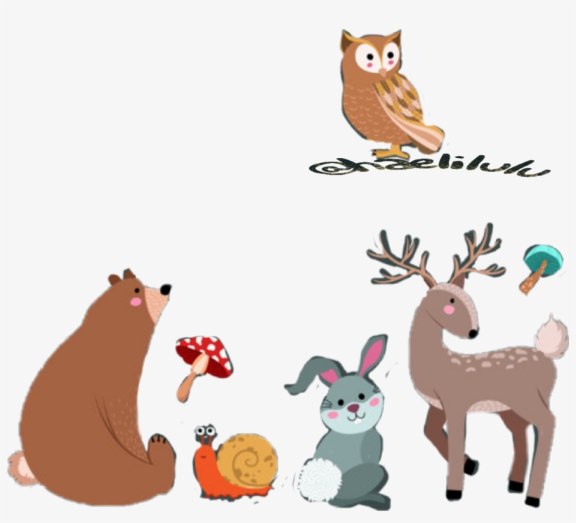 Colormehappy Babies Babyanimals Baby Animals Sweet - Ζωα Του Δασουσ Clipart Png, transparent png