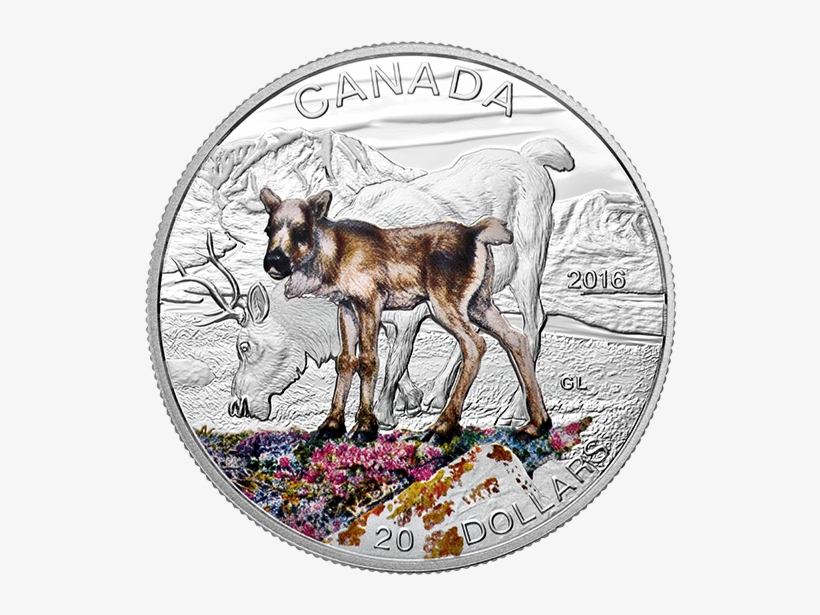 Pure Silver Coloured Coin Baby Animals - Roe Deer, transparent png