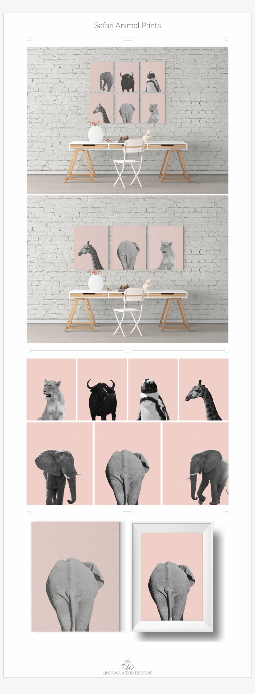 I Photographed The Animals While On Safari In South - Chair, transparent png