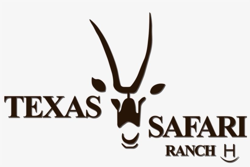 Host Your Eventbook Your Stay - Deer, transparent png