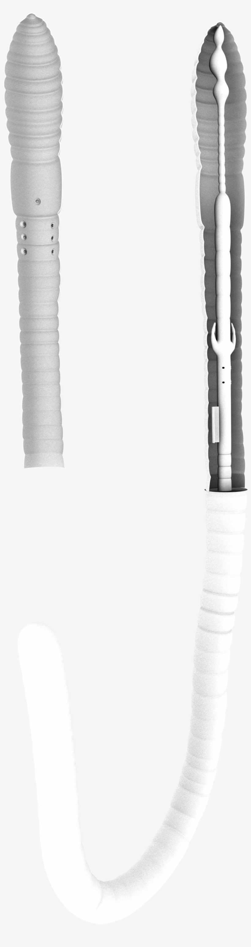 Earthwarm Occ - Ski Binding, transparent png