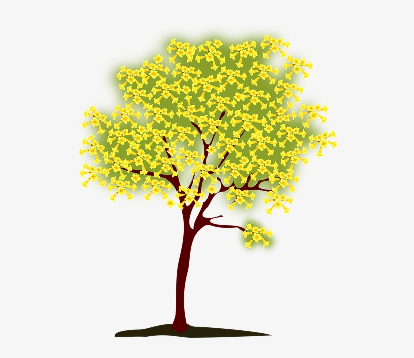 Tree, Blossoming, Yellow, Nature, Spring - Yellow Tree Clip Art, transparent png