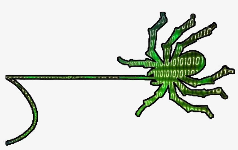 Small-spider, transparent png