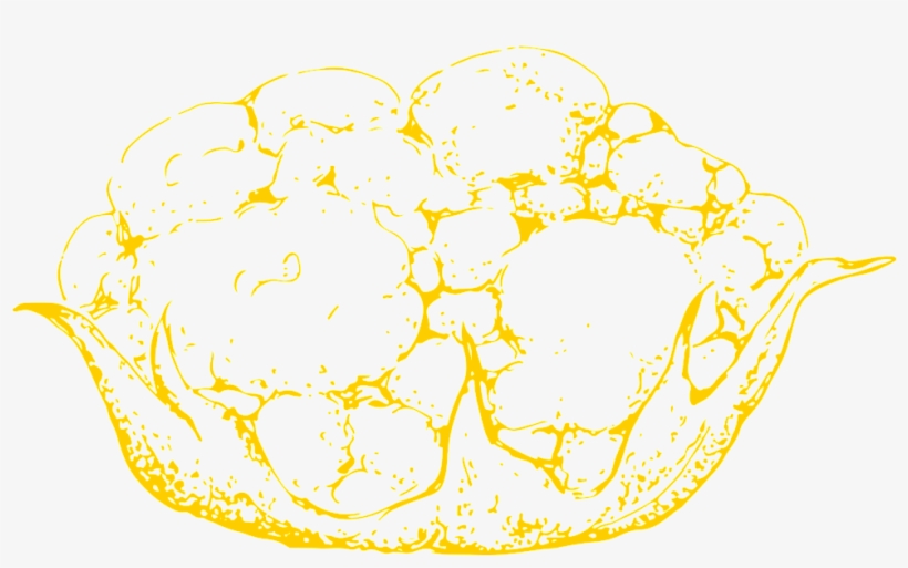 Hand Drawn Vegetables Transparent Vegetables - Circle, transparent png