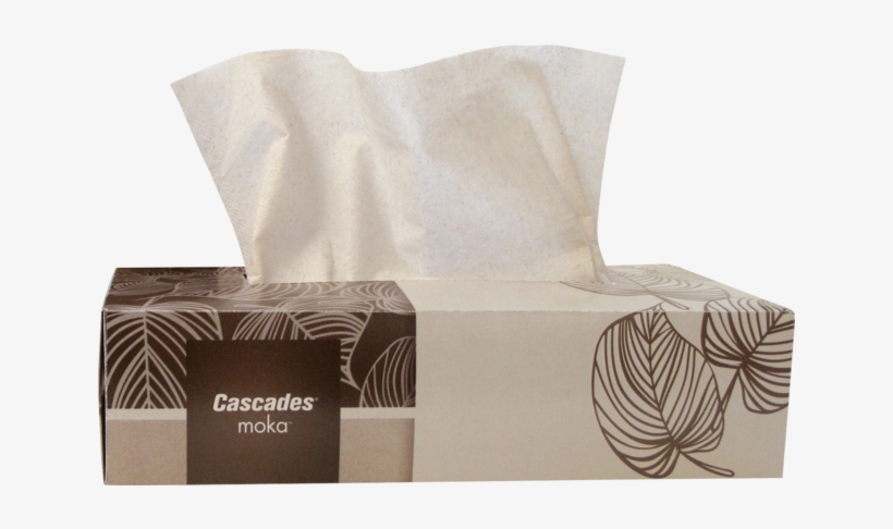 Tissue 100%eco Paper, 19x21,7cm, Beige - Facial Tissue, transparent png