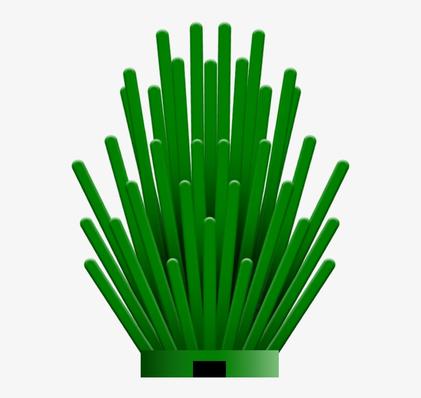 "spiky Bush\ - Grass, transparent png