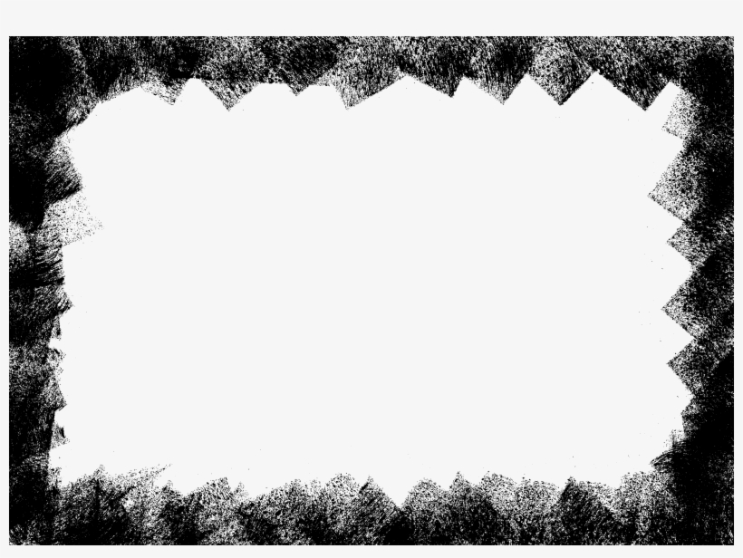 Free Download - Pine Family, transparent png