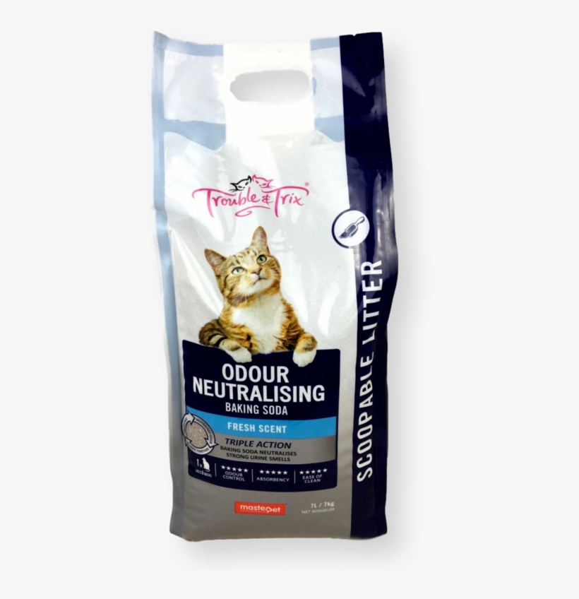 Odour Nut Clipped Rev 1 S0d4jg1grpdw - Kitten, transparent png