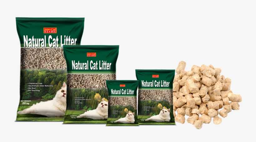 Companion Dog, transparent png