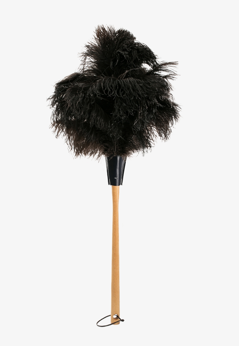 This Duster With Real Ostrich Feathers Will Be Perfect - Brush, transparent png
