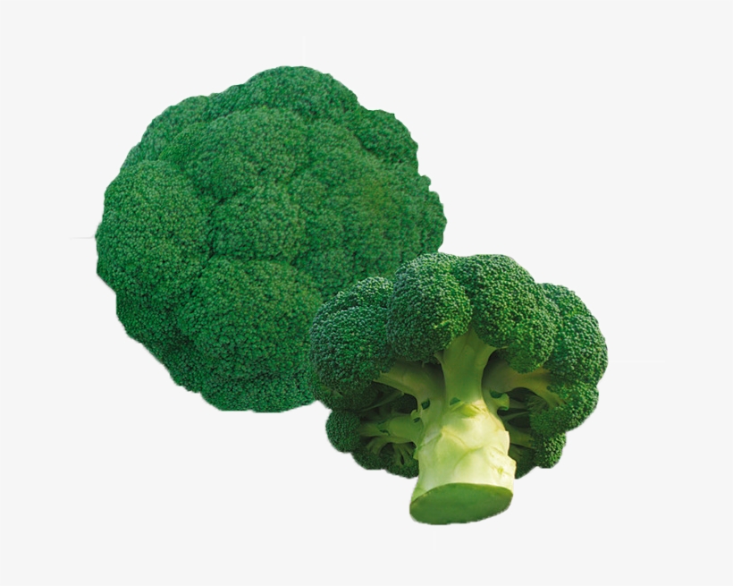 Sprouting Broccoli, transparent png