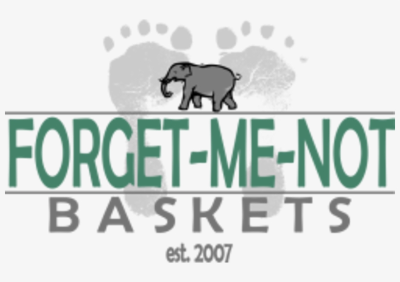 Forget Me Not Baskets 9th Anuual Zumbathon - Indian Elephant, transparent png