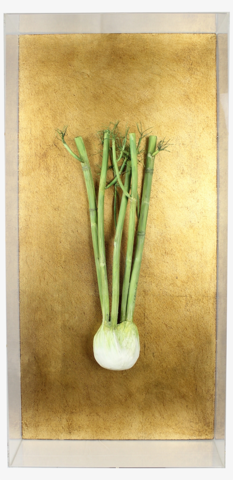 Fennel - Still Life, transparent png