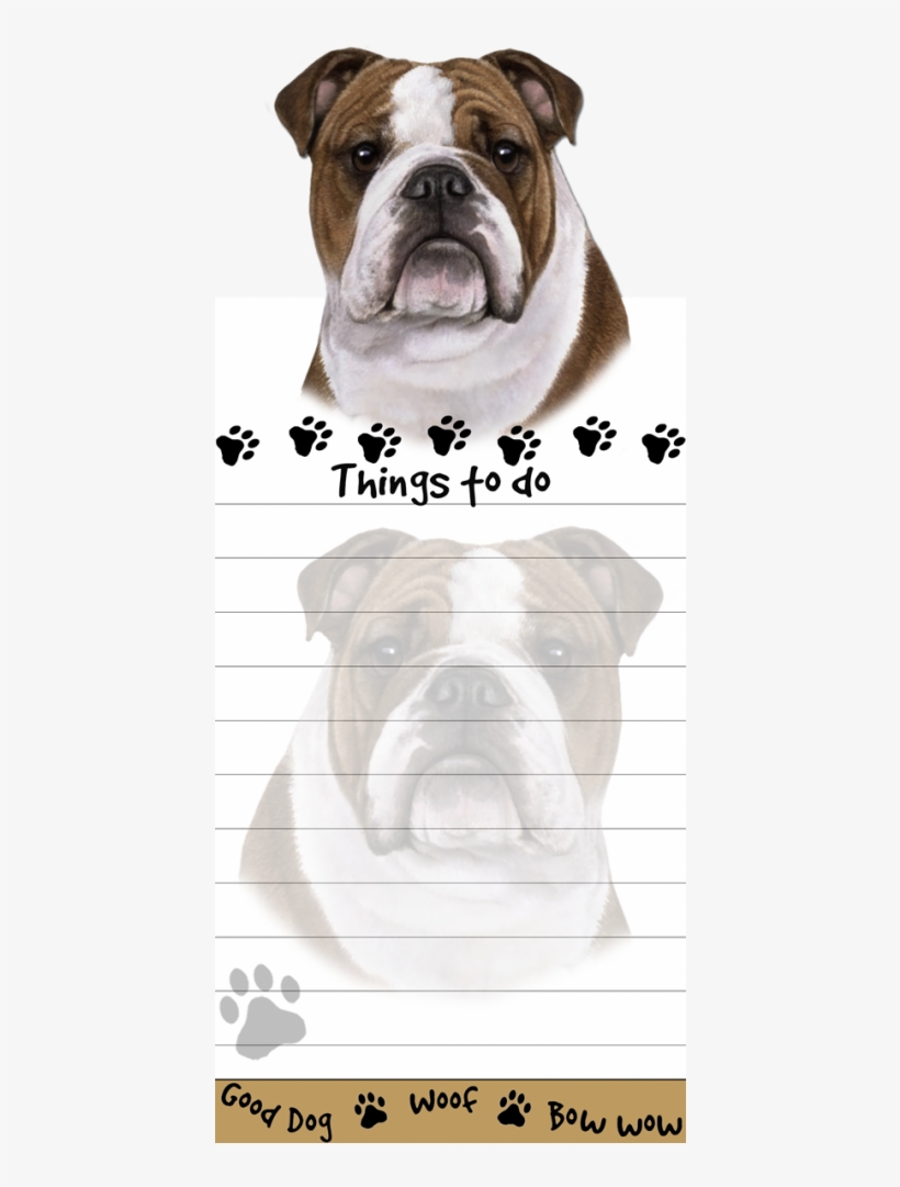 More Views - Notebook, transparent png