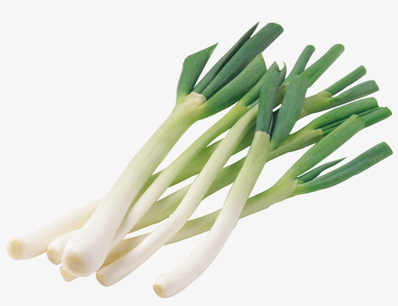 Scallion - 大葱 Png, transparent png