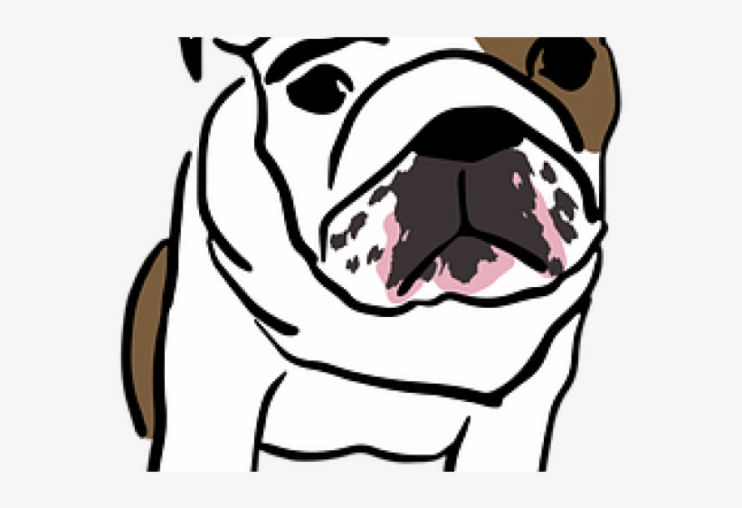 English Bulldog Clipart Transparent - Dog Desenho Png, transparent png