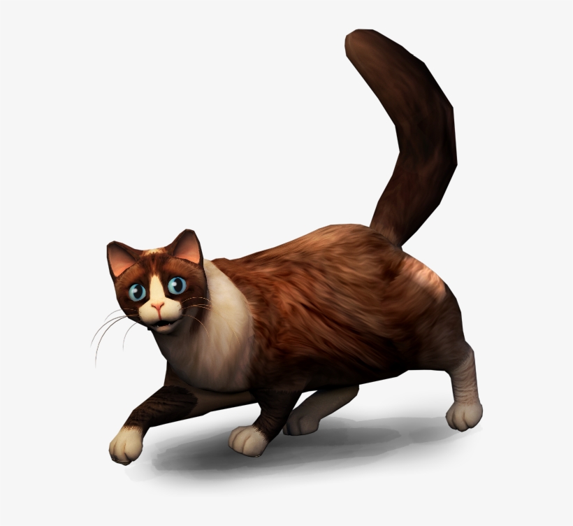 Cute Cats In Virtual Reality - Virtual Reality Pet Png, transparent png