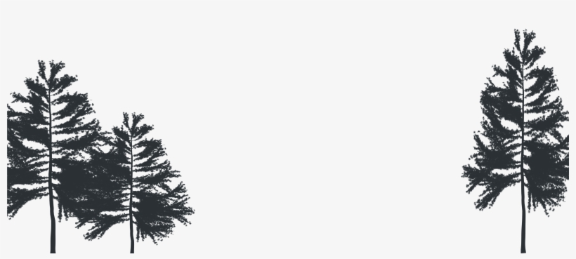 Trees - Christmas Tree, transparent png