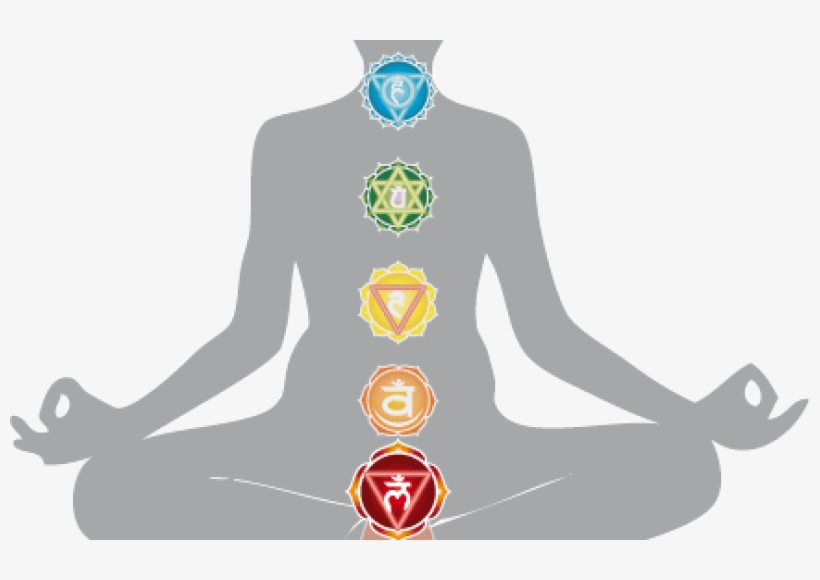 Harmonizing The Energy Body Chakra Anatomy Root Chakra - Third Eye Anatomy, transparent png