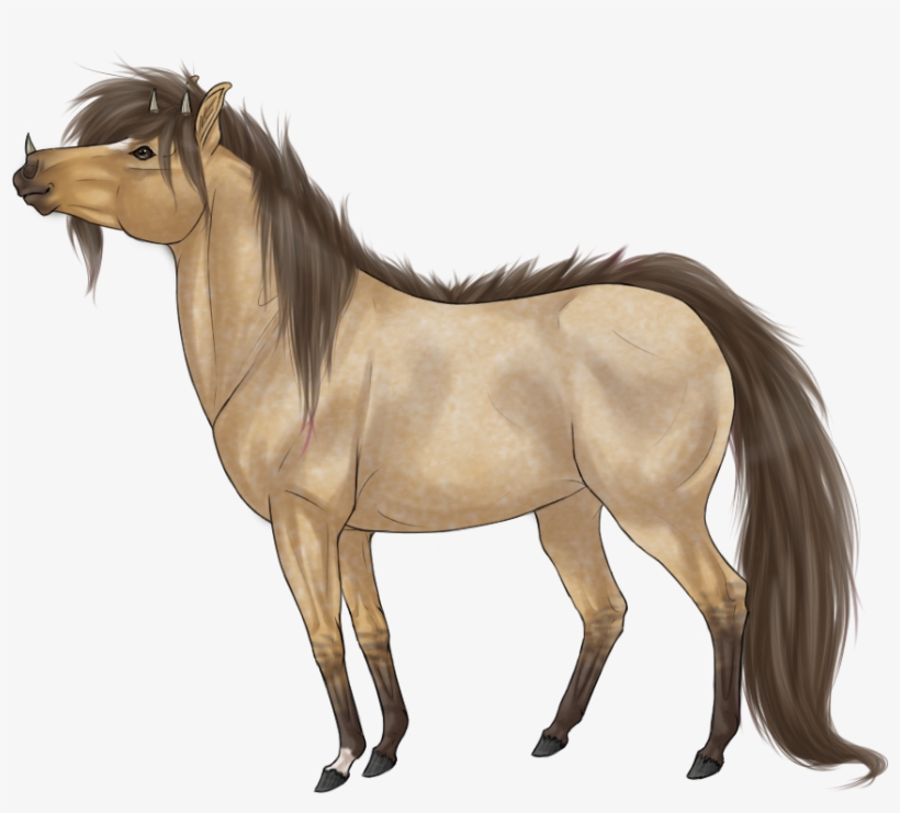 Blush - Mane, transparent png