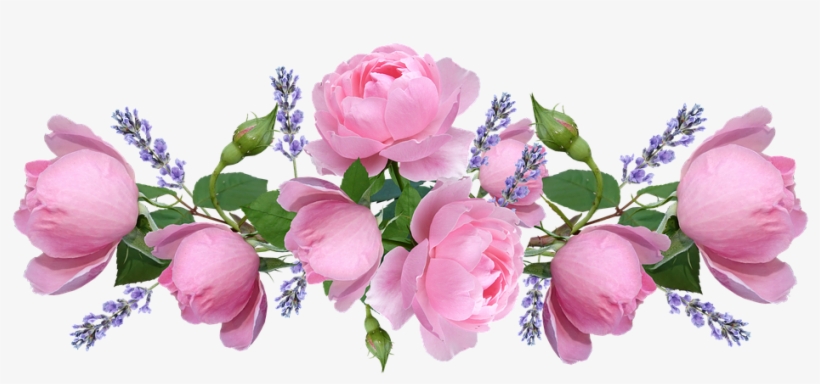 Roses, Pink, Flowers, Lavender, Arrangement - Garden Roses, transparent png