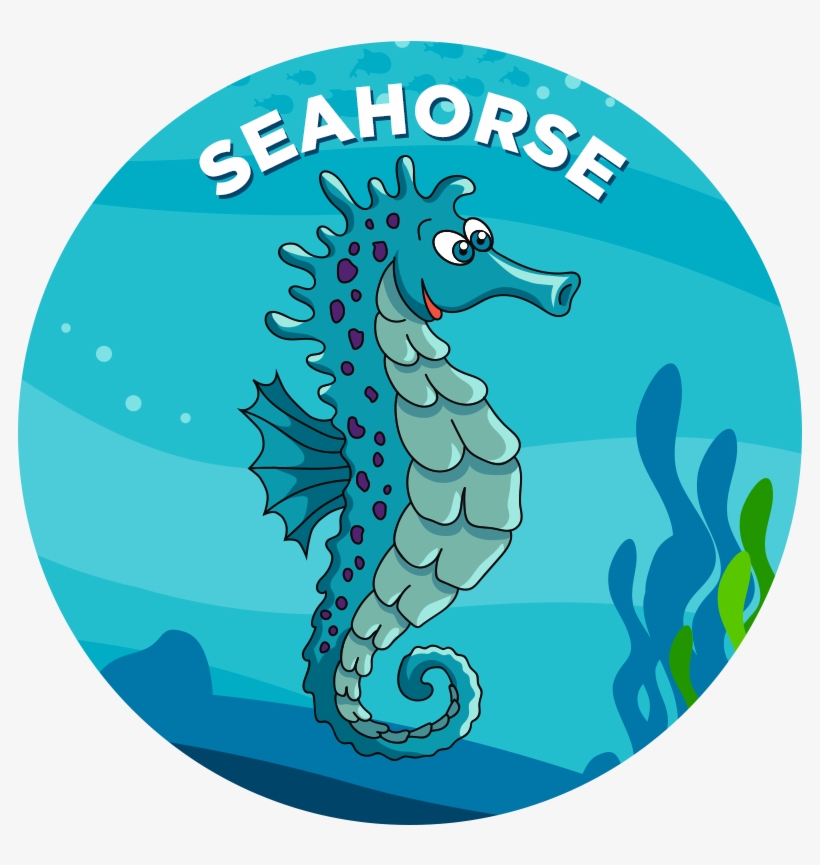Seahorse - Clip Art, transparent png