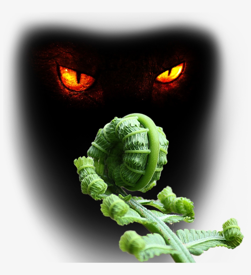 Lust Of The Devil - Significa Fotosintesis, transparent png