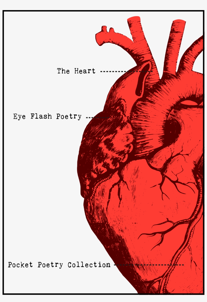 The Heart Pocket Poetry Collection - Heart Shape In Our Body, transparent png