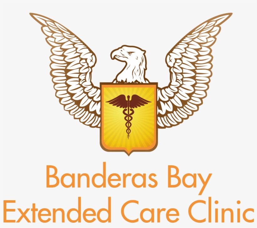 Banderas Bay Extended Care Clinic -sayulita, Nayarit - United States Eagle Vector, transparent png