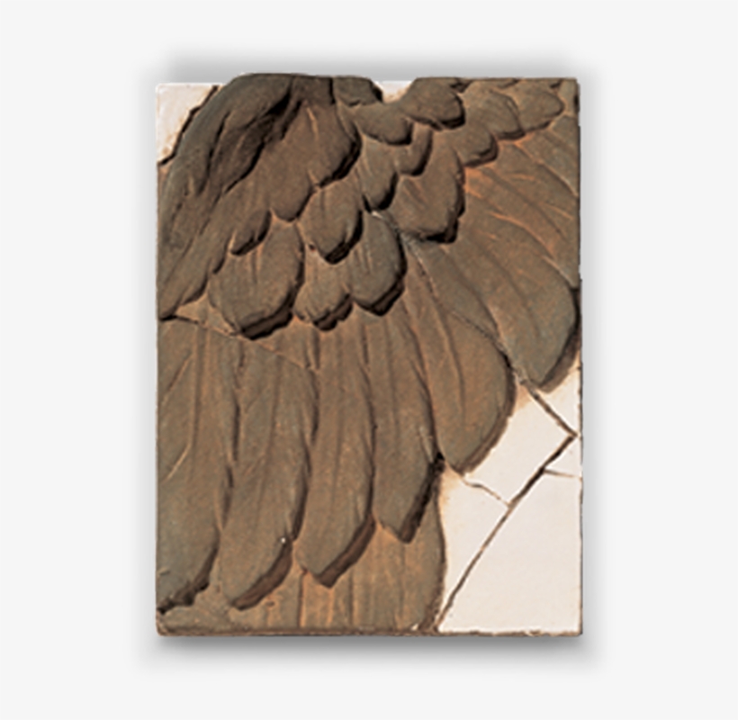 Forgot Password - Sea Eagle, transparent png