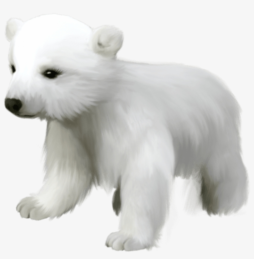 Free Png Download Cute Small Polar Bear Png Images - Cute Polar Bear Transparent, transparent png