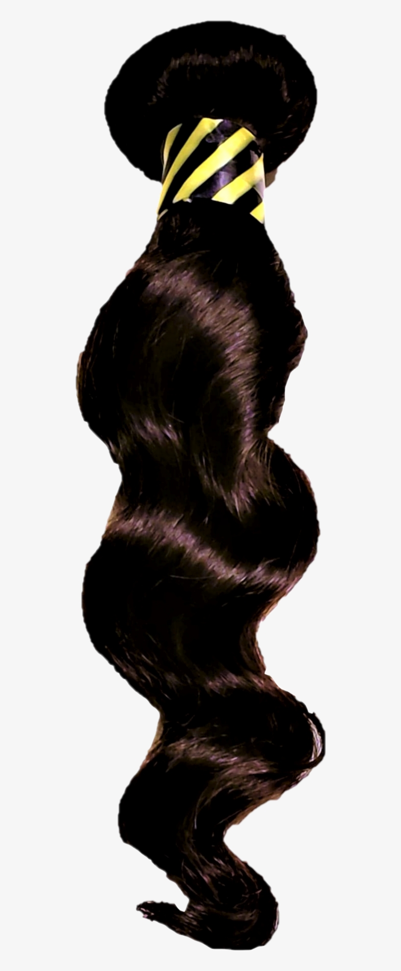 Coilspring - Lace Wig, transparent png