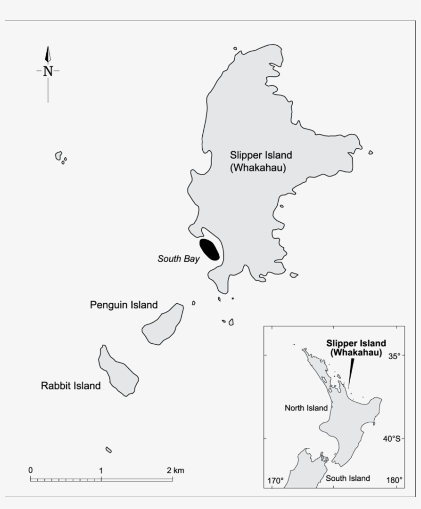 Of Slipper Island On The Coromandel Showing - Diagram, transparent png